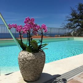 Hotel Mediterraneo，卡迪拉瓦尼亞的飯店