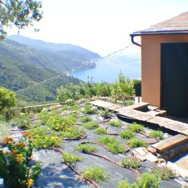 Walk and Relax Retreat - HOMY 5 TERRE