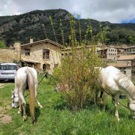 Bed&Breakfast la Cabanya de Beget, hotel in Beget