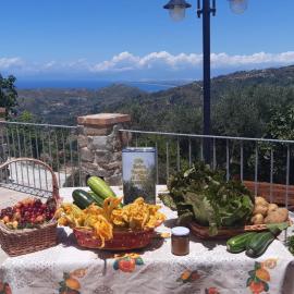 Agriturismo Gli Antichi Sapori Di Anna Coppola - con stazione di ricarica veicoli elettrici, hotel in Vatolla