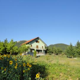 Green House