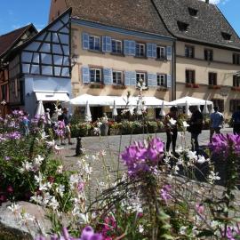 Gîtes Au Château Fleuri, hotel di Eguisheim