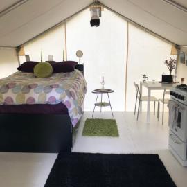 Vines and Puppies Glamping Hideaway, hotell sihtkohas Jade City
