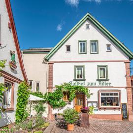 Buergstadt में, होटल Adler Landhotel