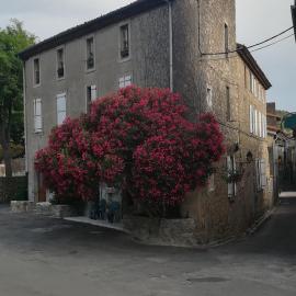 Chez Shona, hotel em Lagrasse