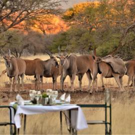 Ohange Namibia Lodge, hotel di Otavi
