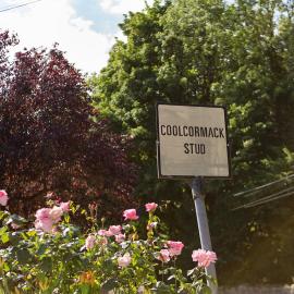 Coolcormack Stud B&B, hotel in Waterford