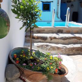 Casa Rural tía Salomé