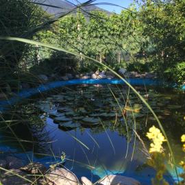 Casa in Königs GarteN: Intragna şehrinde bir otel