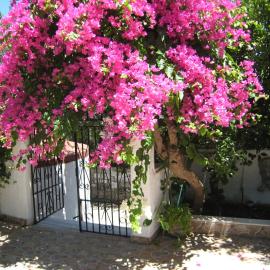 Eleftheria Lindian Studios II, hotel a Lindos