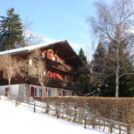 Chalet Grünegg
