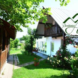 Pensiunea Anita, hotel in Haţeg