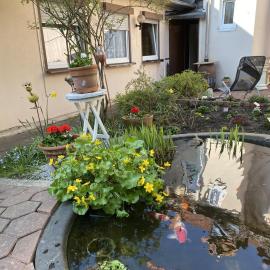 Ferienwohnung Bongartz
