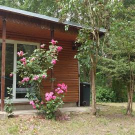 Waldhaus Halvor, hotell i Zichtau