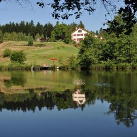 Appartement Douglasie dans une ferme avec étang privé dans la région des mille étangs, Faucogney-et-La-Mer、Faucogney-et-la-Merのホテル