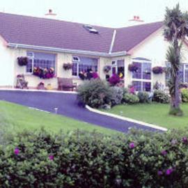 The Yellow Rose B&B: Ballina şehrinde bir otel