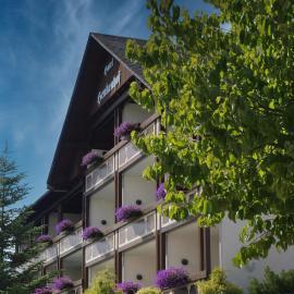 Landhotel Henkenhof Willingen, khách sạn ở Willingen