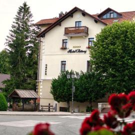 Hotel Bitoraj Fužine – hotel w mieście Fužine
