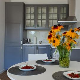 APARTAMENT WILKASY II (k. Giżycka )
