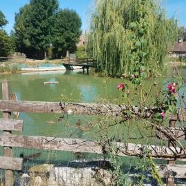 Ferme bressane les Arums, hotel Mervans városában
