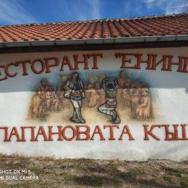 Papanovata House, hotell i Enina