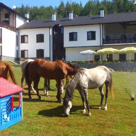 Rusaliite Adventure House, hotel v mestu Bachevo