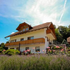 Villa Katarina, khách sạn ở Mokronog