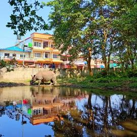 Hotel Rhinoceros-Homestay, hotel in Sauraha