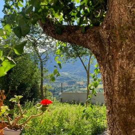 B&B Al San Francesco, hotel in Castel di Sangro