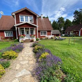 Villa Hanson, hotell i Elbiku