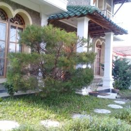 Marie'z Villa