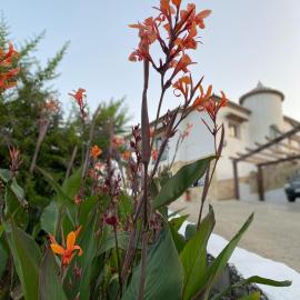 Villa Sunshine Countryside Resort, hotel v destinaci Frigiliana