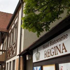 Hotel Regina, hotel em Zirndorf