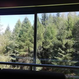 FINESTRA SUL BOSCO - MONOLOCALE MARILLEVA 1400, hotel in Marilleva