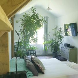 La petite maison du jardin d'Apollon, Hotel in Dourdan