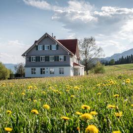 Alpenloge Design Hotel, hotel en Scheidegg
