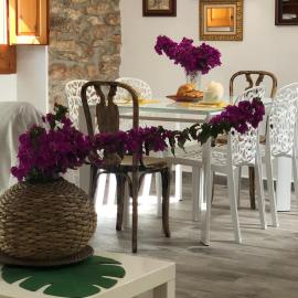 Tutu llar ús turistic, hotel a Amposta