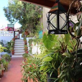 Casa Los Palitos, hotel in Monte de Breña
