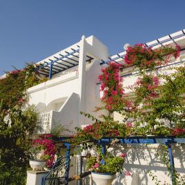 Nissos Poros, hotel u gradu Poros