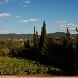 Apt Alice - Apartment in the Vineyards