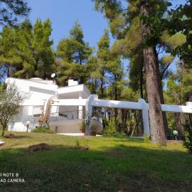 Villa Angie, hotel a Sani Beach