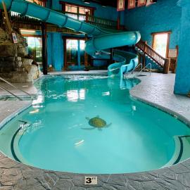Riverchase Lodge, Hotel in Pigeon Forge