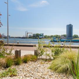 B&B Maasview, hotel in Rotterdam