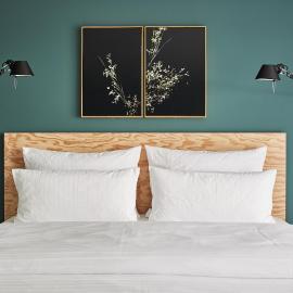Winterfeld Guest House Bodenmais: Bodenmais şehrinde bir otel