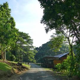 Sepilok B&B, Hotel in Sepilok