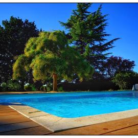 Domaine Cassevinha