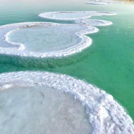 Nadia Hosting Dead Sea, hotel i Neve Zohar