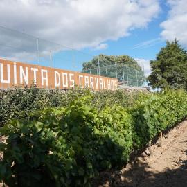 Quinta Dos Carvalhos, hotel en Vilarinho de Agrochão