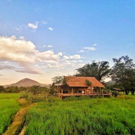 Wanmai Farm Stay Muangkong วันใหม่ฟาร์มสเตย์ เมืองคอง เชียงดาว, Hotel in Ban Yang Nong Bua