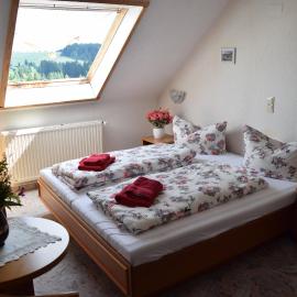 Hotel Carola, hotel v destinácii Schönheide